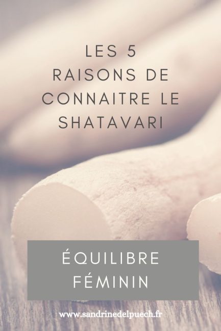 Shatavari la plante de l équilibre hormonal féminin Ses bienfaits